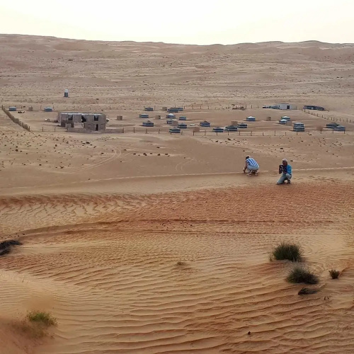 Desert Wonders Camp
