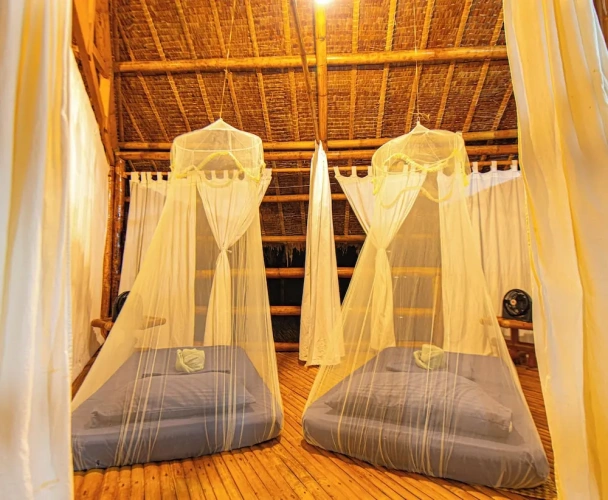Bed in Dorm