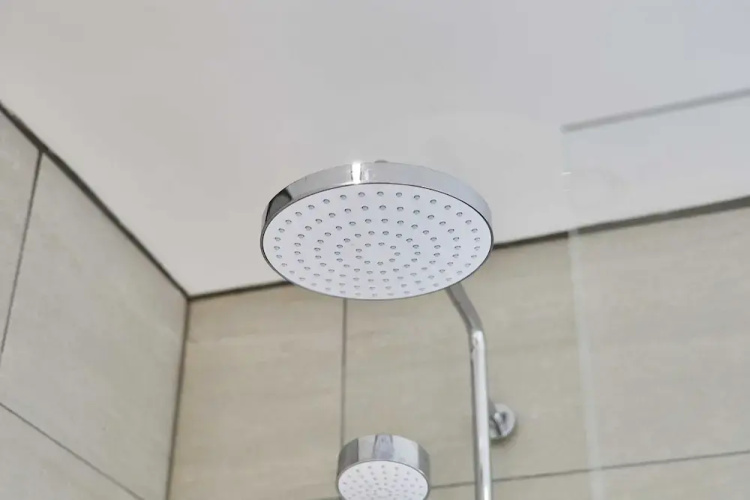 Host Stay Cheviot Street