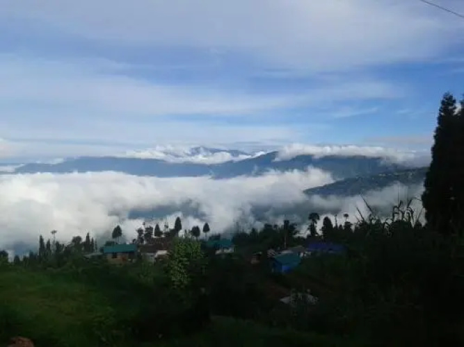 Vamoose Kunga Delek