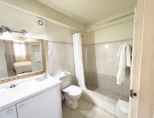 1 Bedroom Standard Apartment