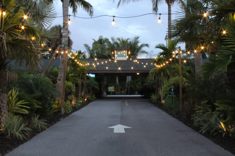 The Elephant Ear Cabanas