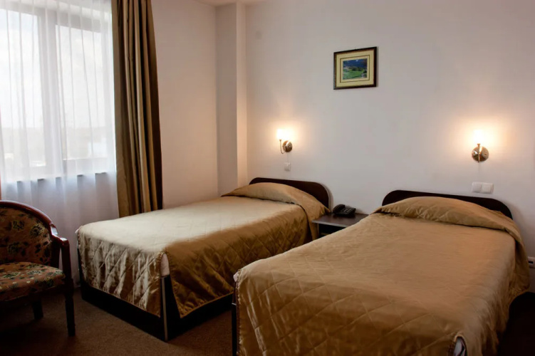 Hotel Denisa Otopeni