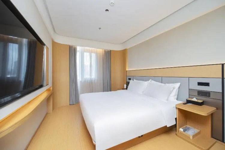 Standard Suite