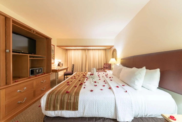 Double room