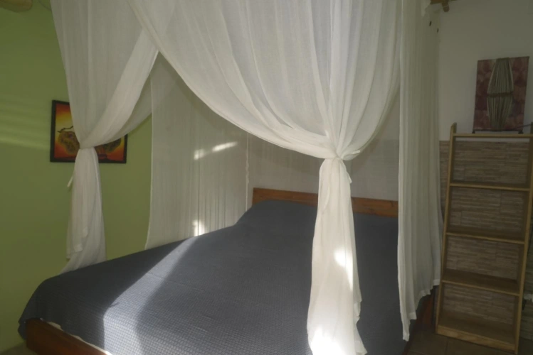 Green House Villa