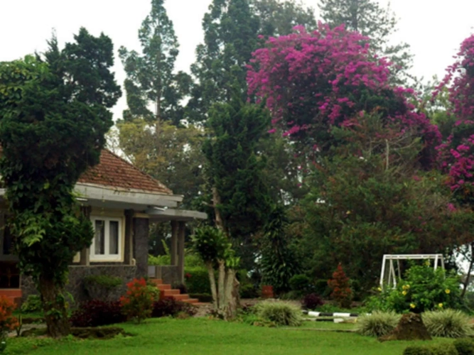 2 Bedrooms Bungalow