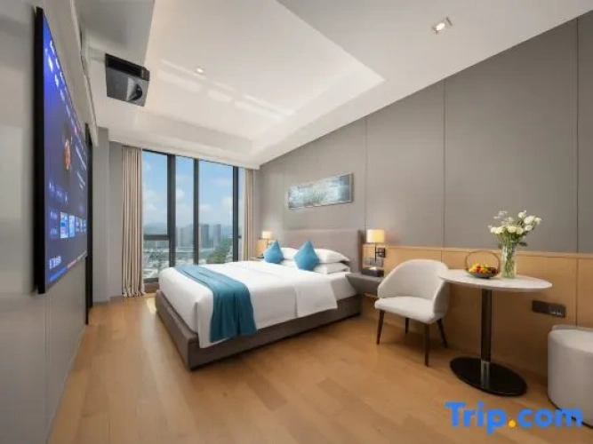 Business Double room with city view