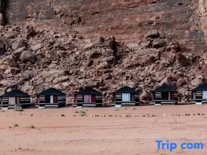 WhyDesert Camp & Jeep Tours