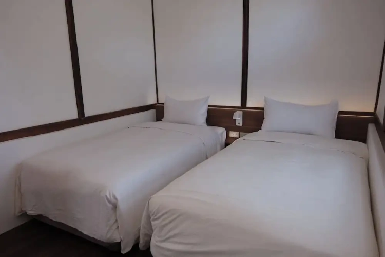 Classic Twin room