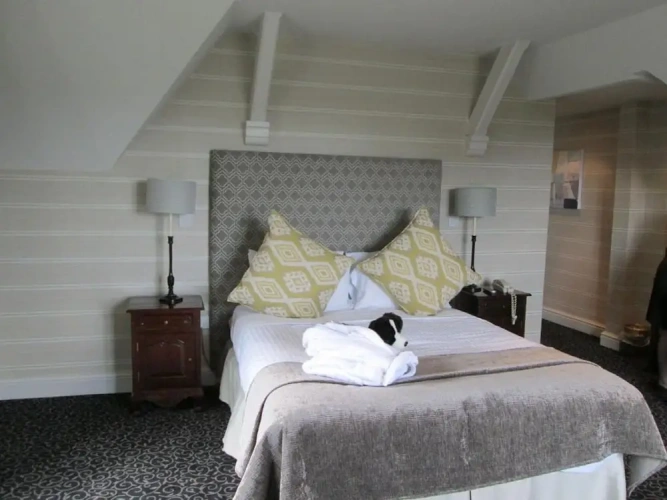 Executive Double Cottage