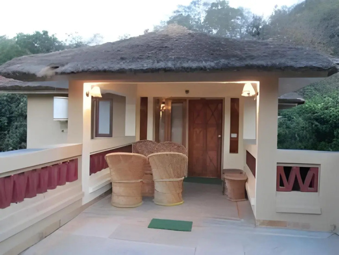 Tiger Camp