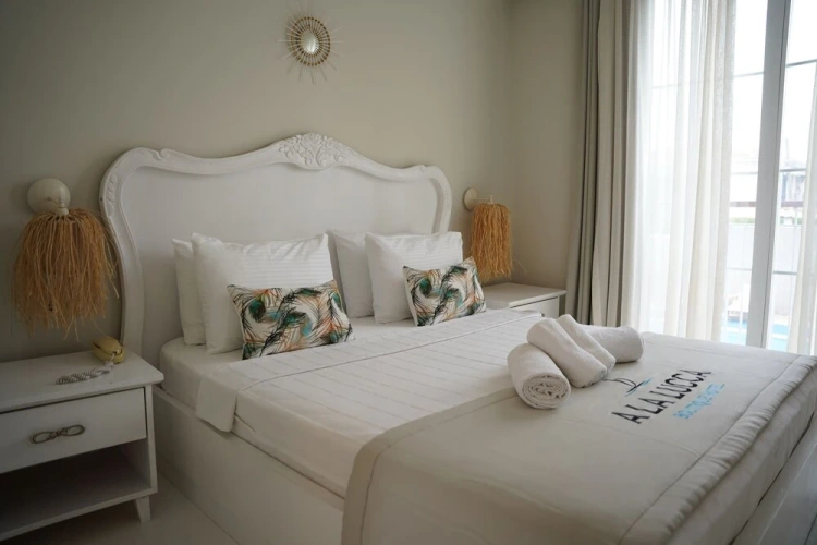 Standard Double room with balcony and with view