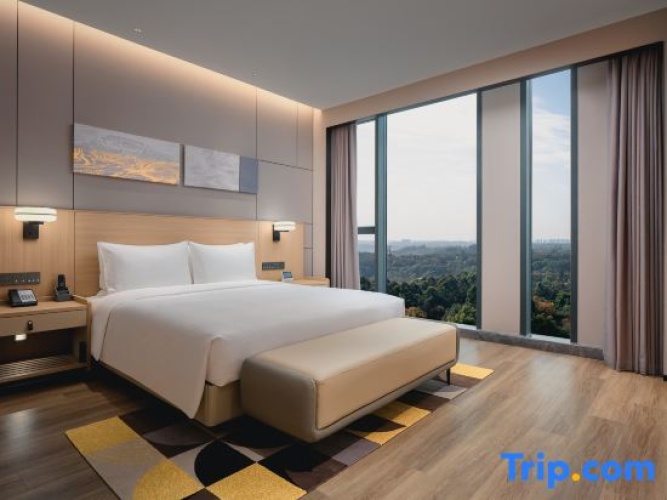 1 Bedroom Suite