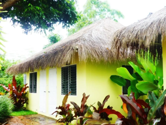 Standard Double room with garden view