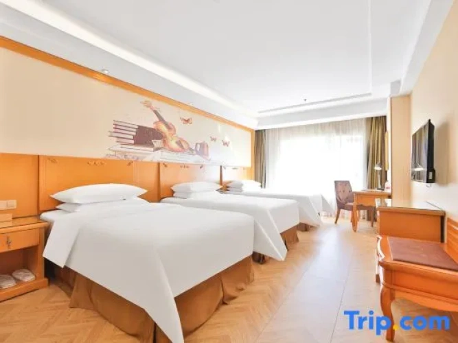 Deluxe Double room with city view