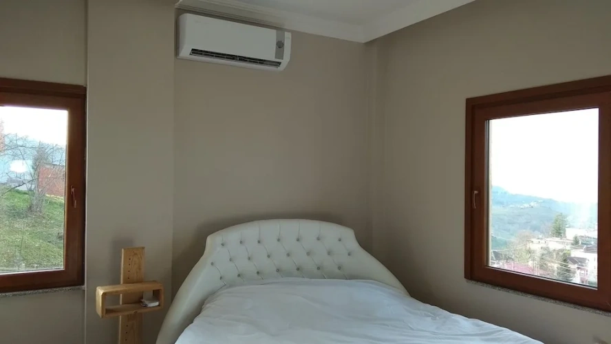 Economy Apartment with balcony