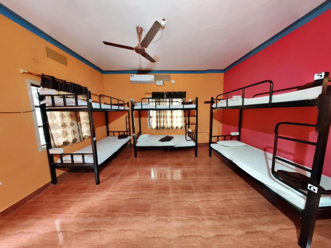Bed in Dorm