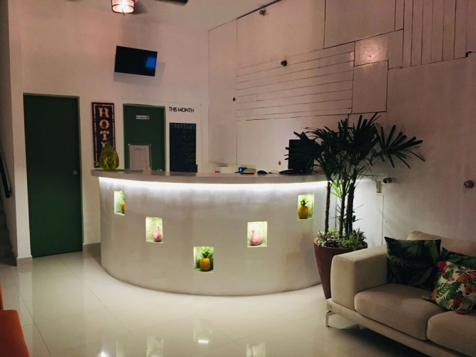 Tropicus 1