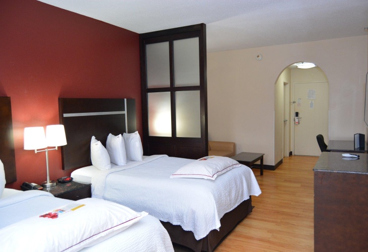 Premium Quadruple room