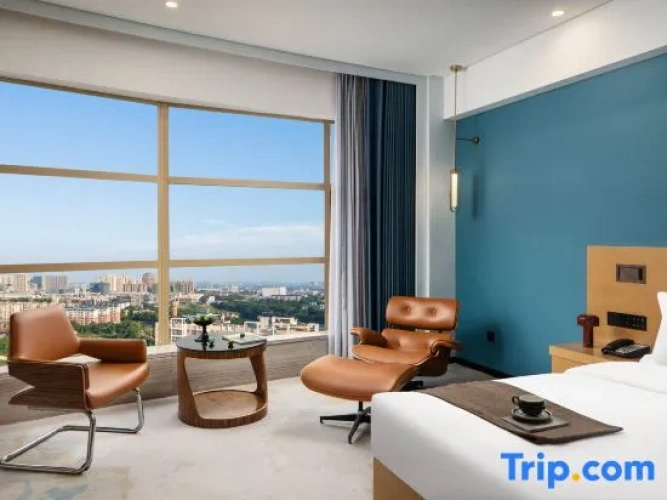 Standard Double room with city view