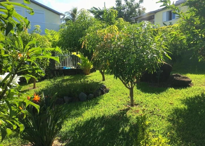 1 Bedroom Superior Basement Apartment