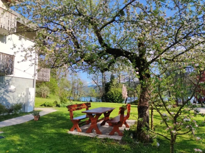 1 Bedroom Apartment with balcony and with lake view