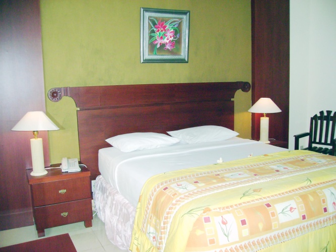 Deluxe Double room with view