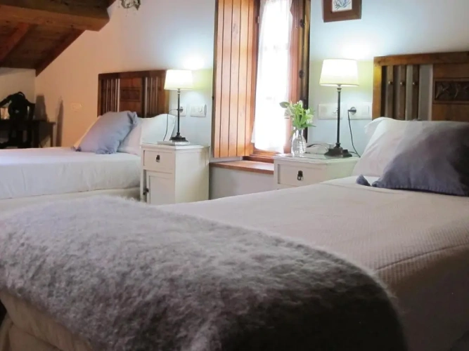 Standard Twin room with view
