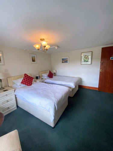 Standard Twin room with river view