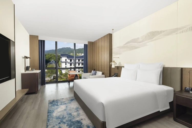 Deluxe Double room with garden view