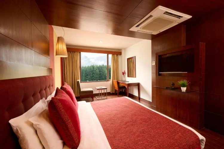 Deluxe Double room with view