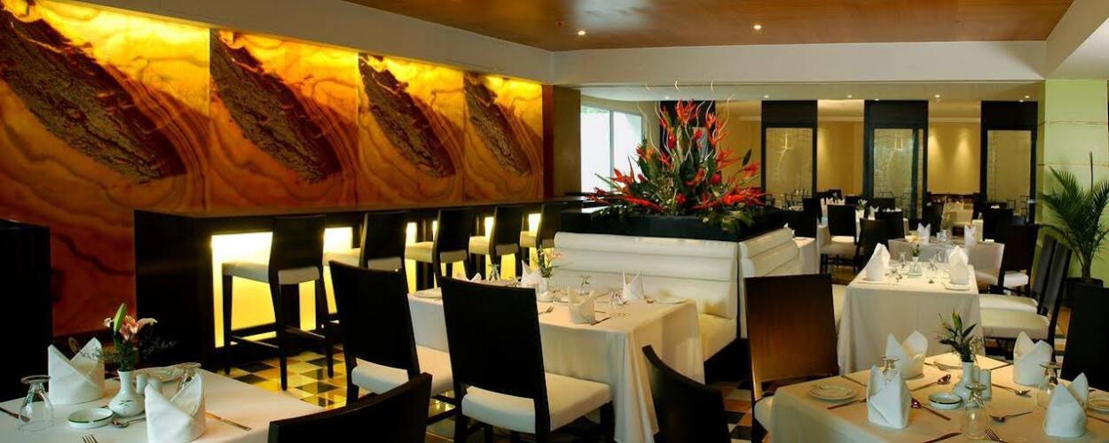 Park Plaza Chennai OMROver view