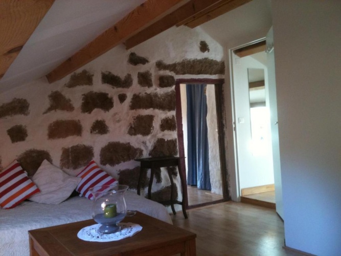 Comfort Suite