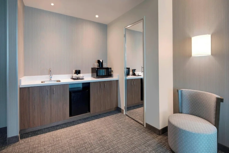 1 Bedroom Suite with city view