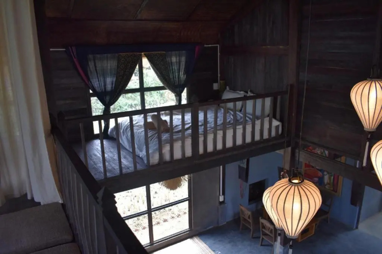 Lucky Daisy Buffalo House