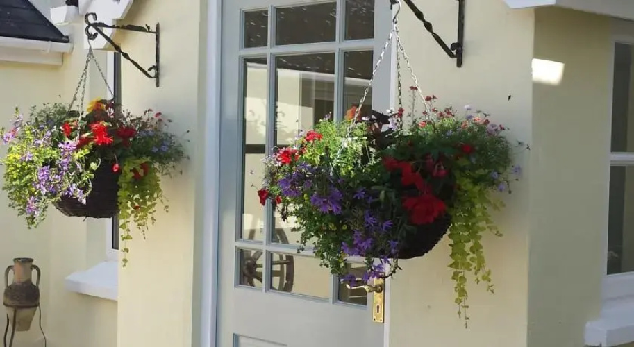 Overcott House Bed & Breakfast