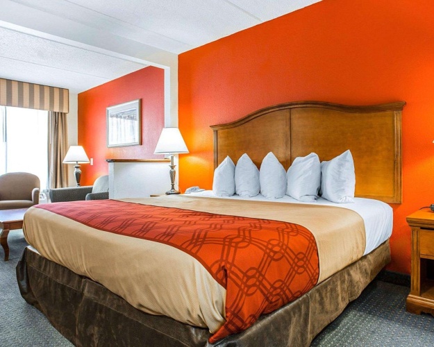 Single Suite