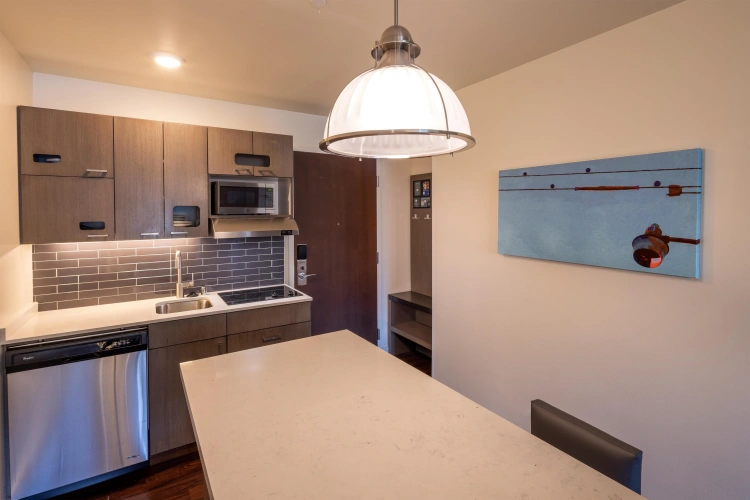 Kitchen Double Studio Suite Space