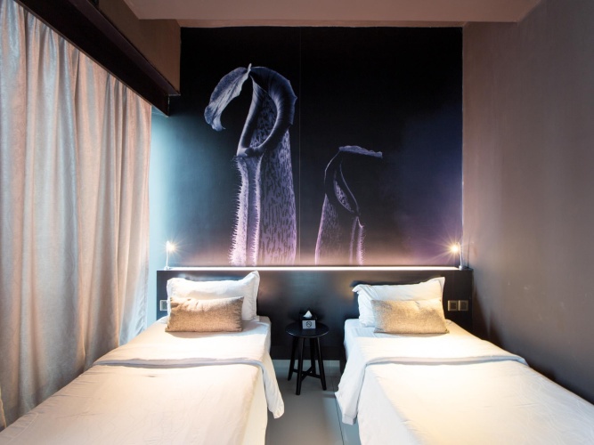 Premium Twin room