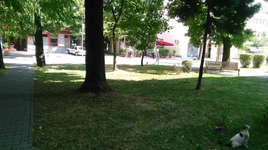 Soba Centar