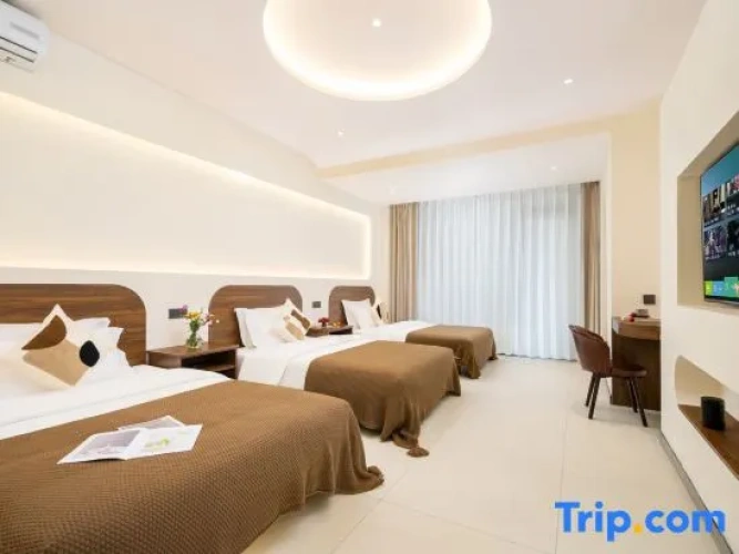 Deluxe Triple room