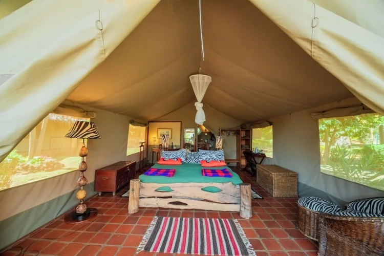 Tent