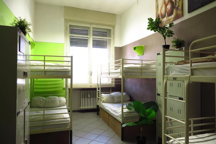 Koala Hostel