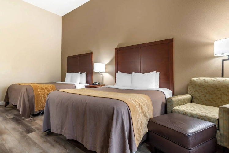Standard Quadruple room