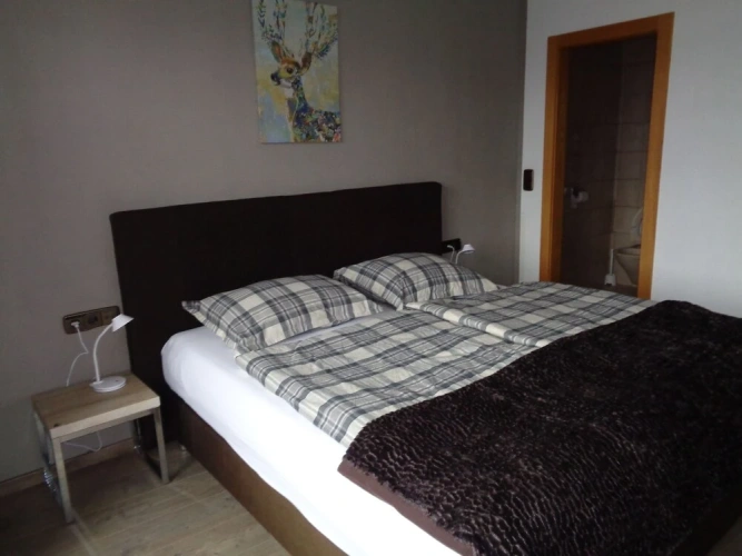 Standard Double room with balcony and with mountain view