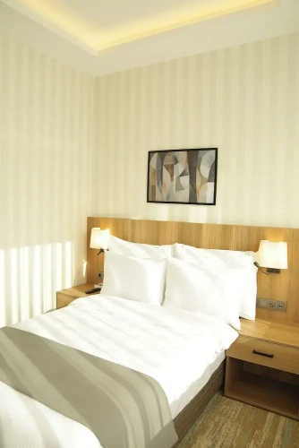 Deluxe Single room