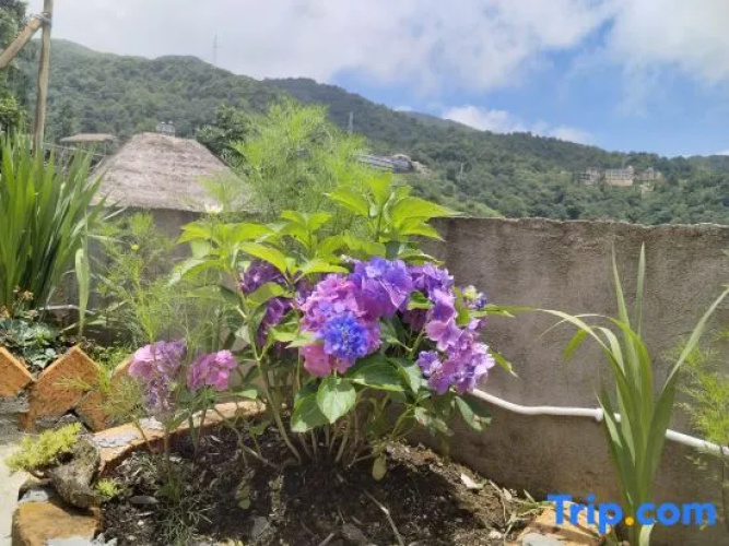 Scarecrow Garden Inn