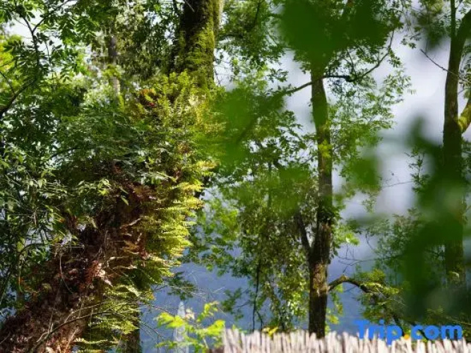 Chunyou Alanduo Micro Resort Camp