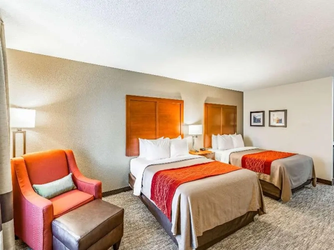 Standard Twin room